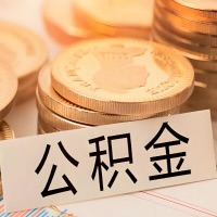 河南省郑州公积金代办提取需要啥样的条件能办？公积金代办提取找我-不成功不收费。